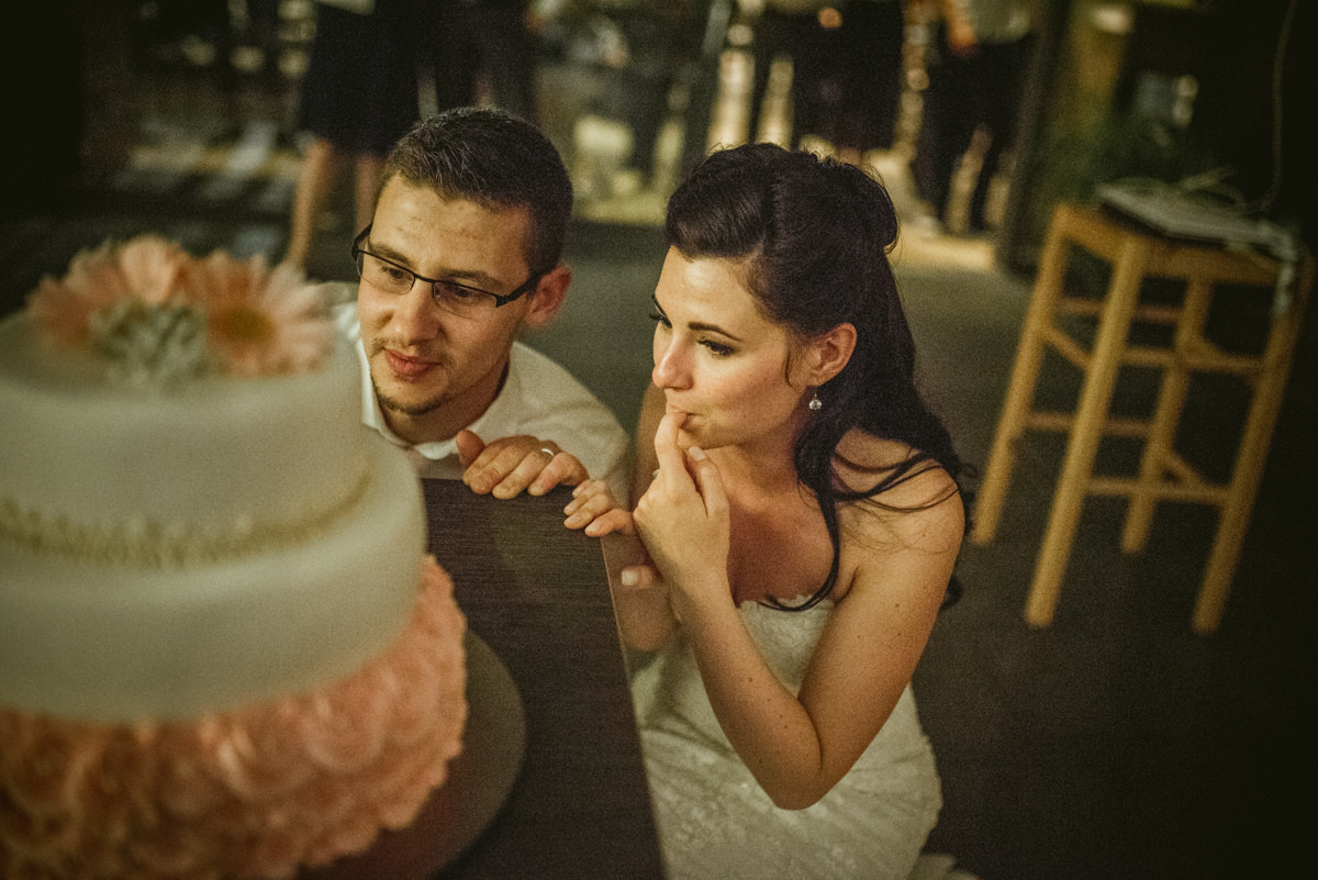 Vipava Valley wedding photographer