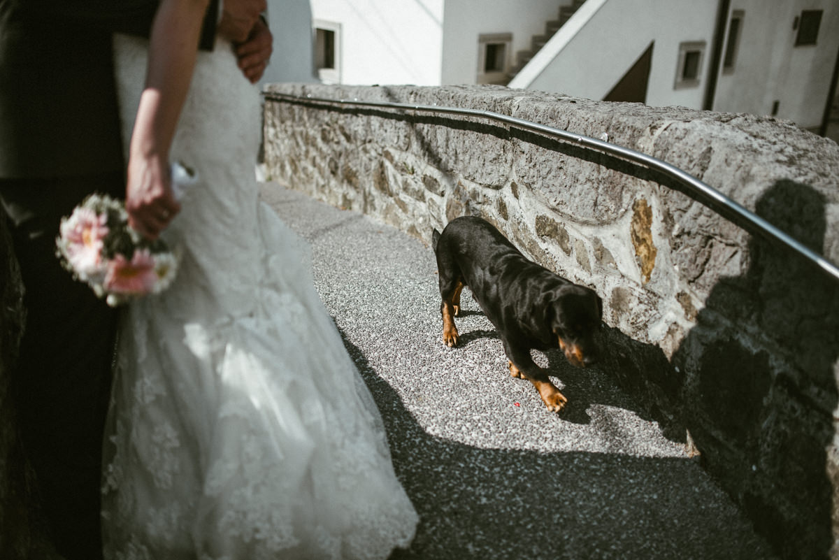 Vipava Valley wedding photographer