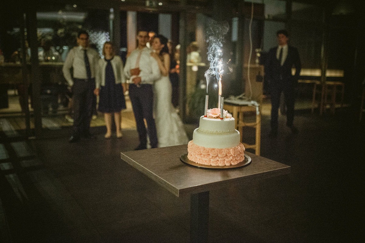 Vipava Valley wedding photographer