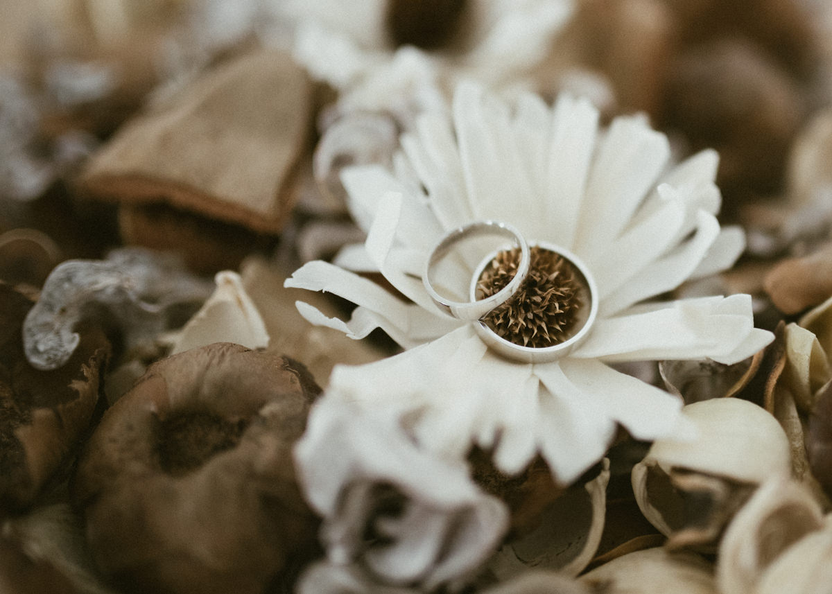 Vipava Valley wedding photographer